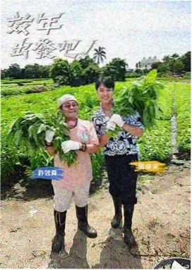 一起下厨房吧 国产慢综艺在线观看封面